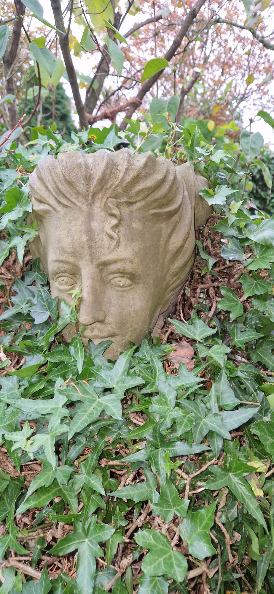 Beispielbild Gartenpflege 5