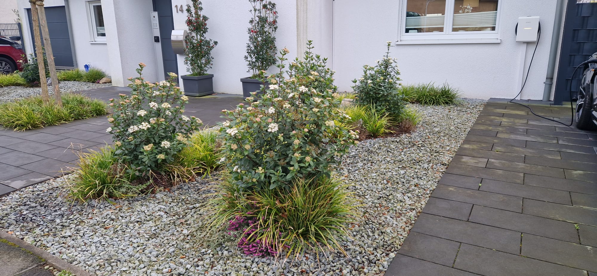 Beispielbild Gartenpflege 10