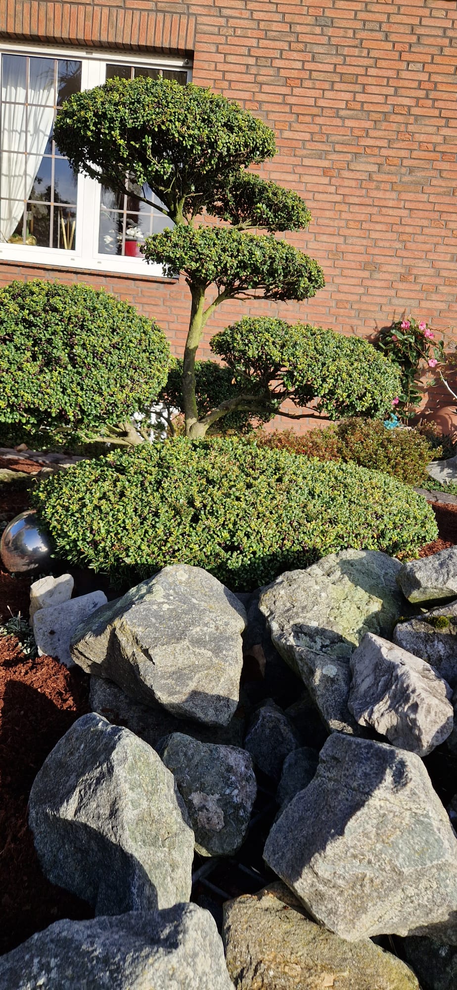 Beispielbild Gartenpflege 11