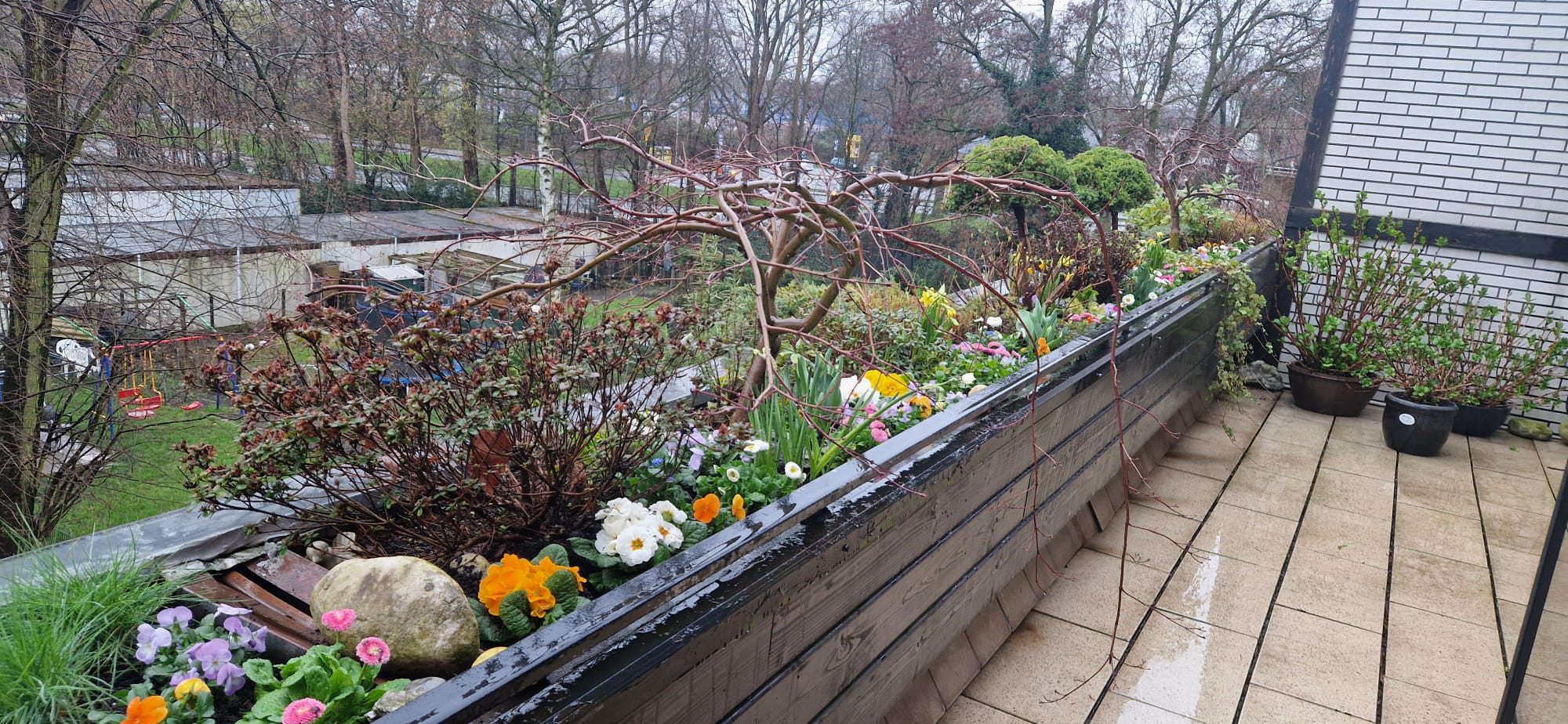 Beispielbild Gartenpflege 12