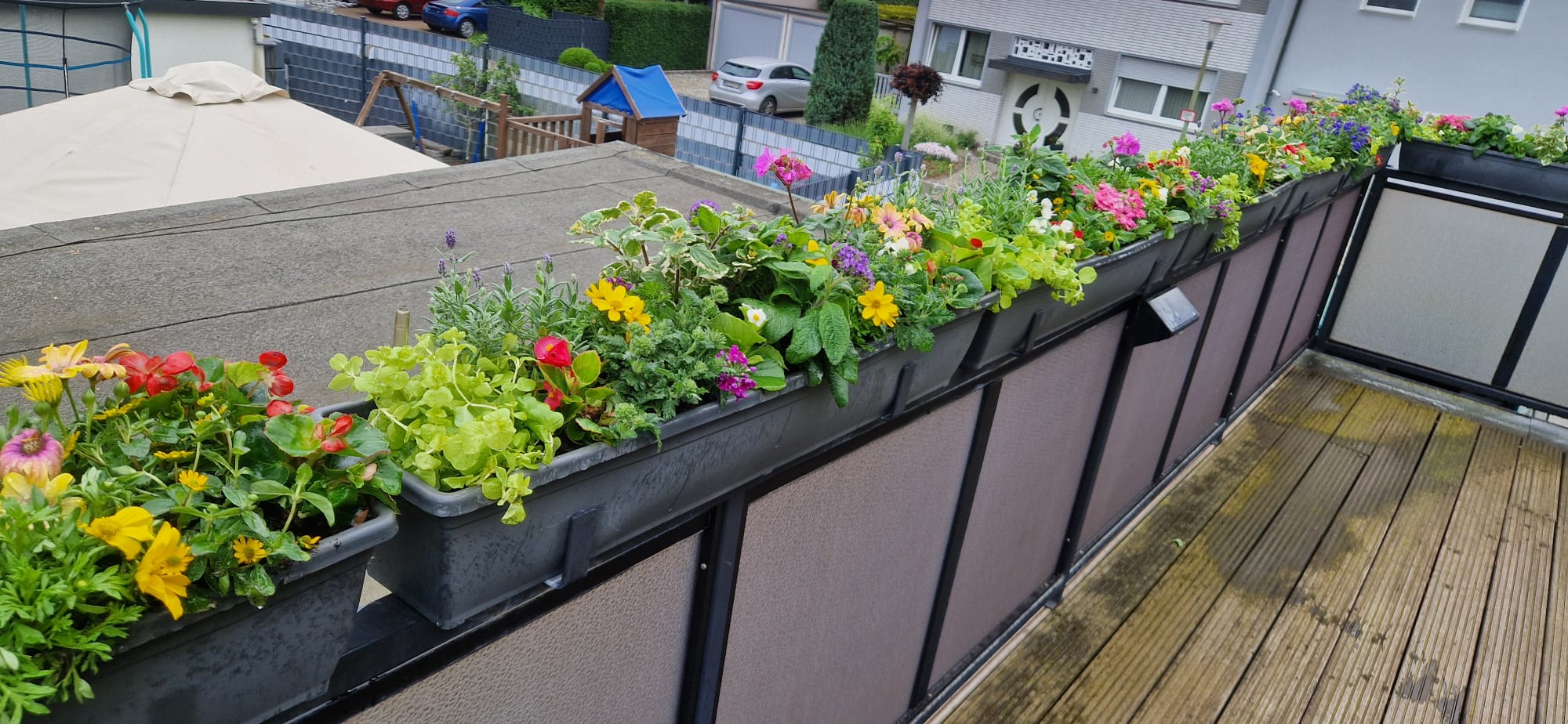 Beispielbild Gartenpflege 13