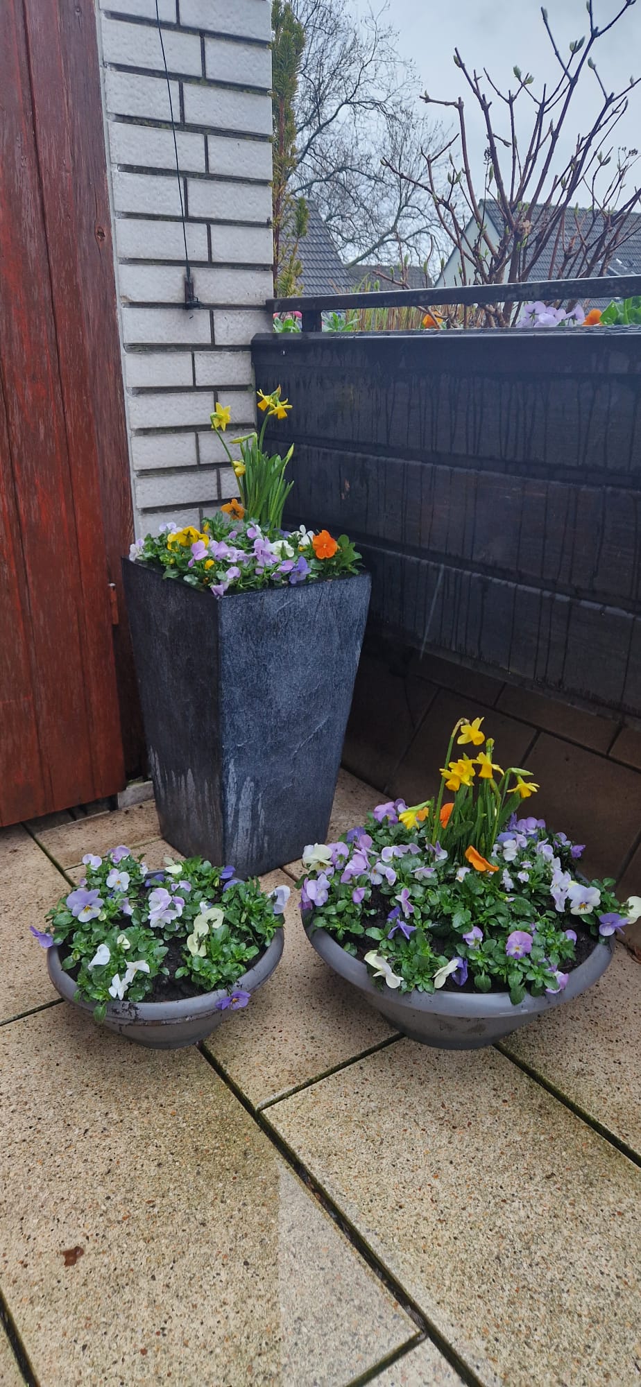 Beispielbild Gartenpflege 14