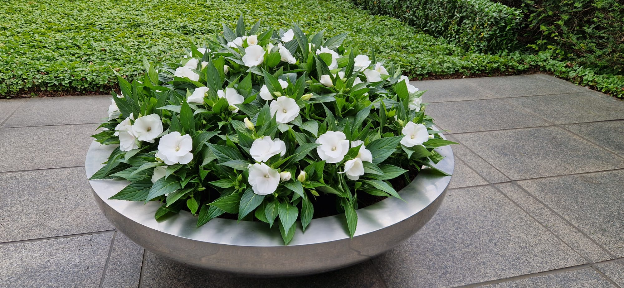 Beispielbild Gartenpflege 15