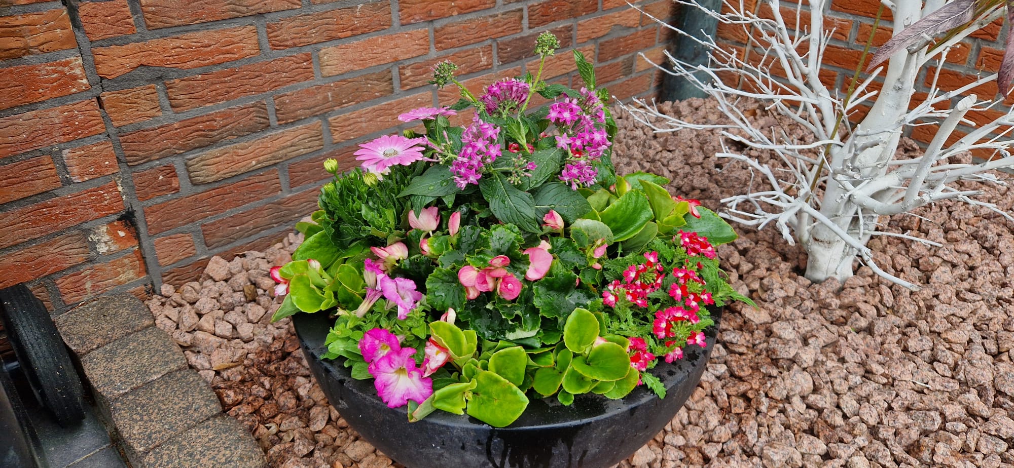 Beispielbild Gartenpflege 16