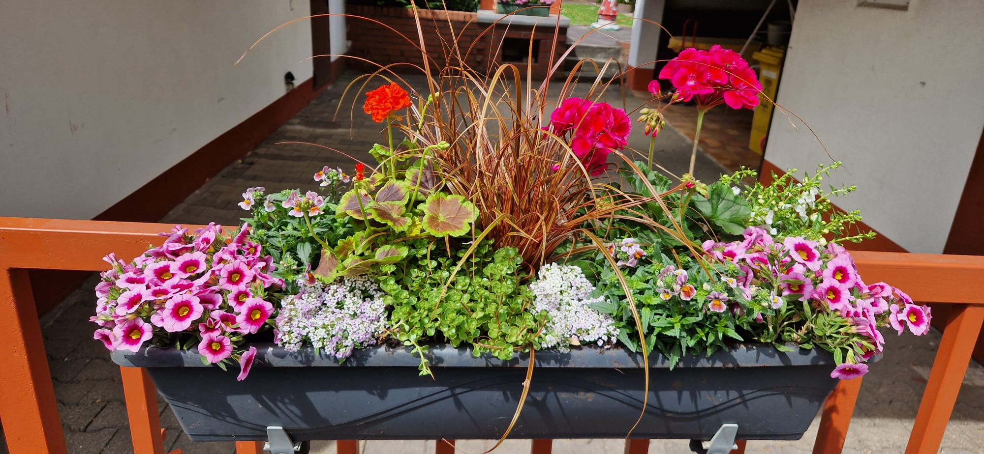 Beispielbild Gartenpflege 25