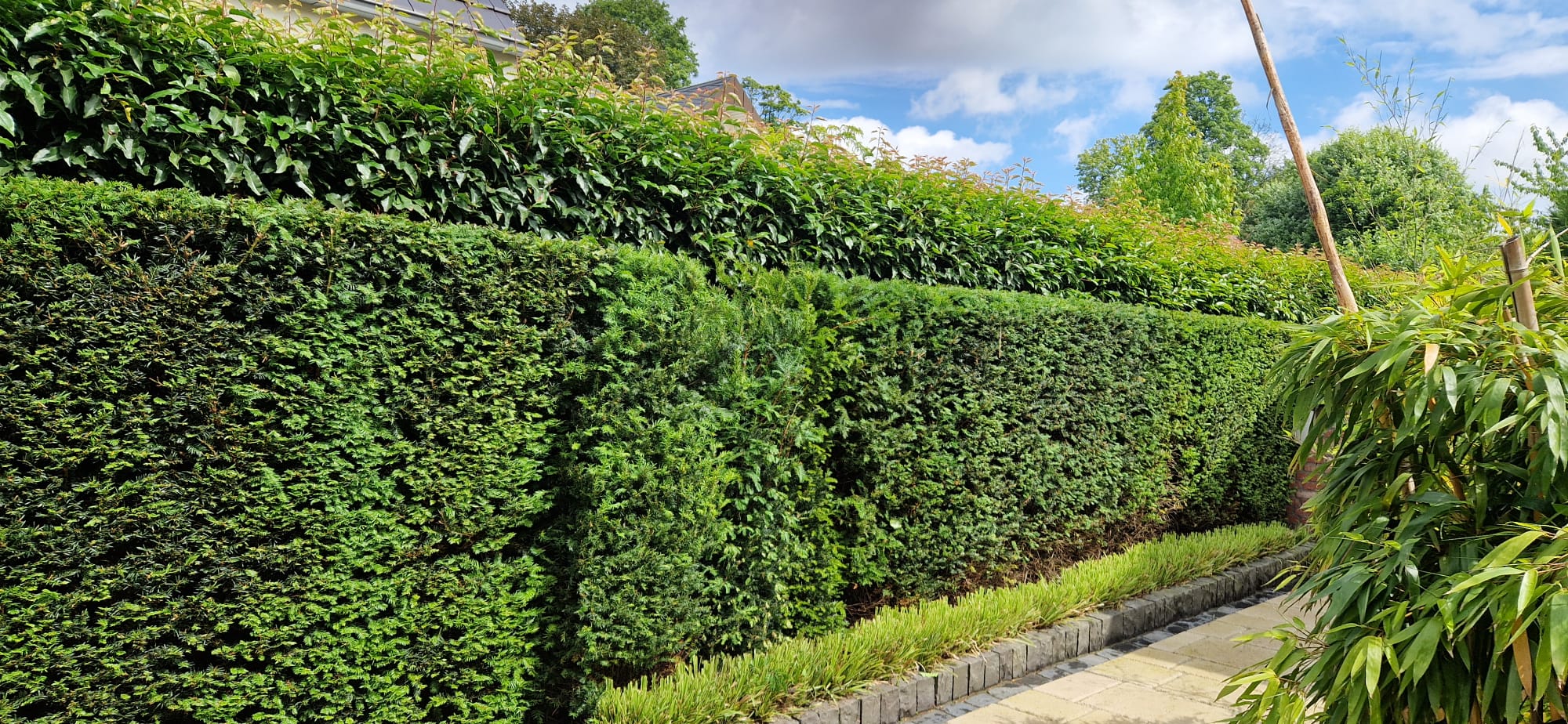 Beispielbild Gartenpflege 26