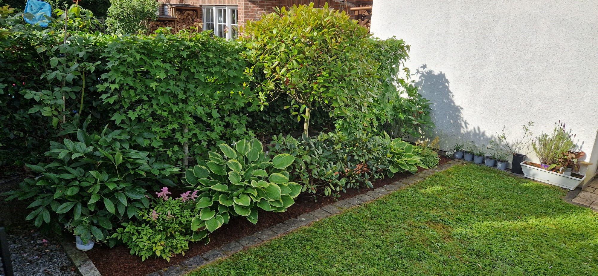 Beispielbild Gartenpflege 27