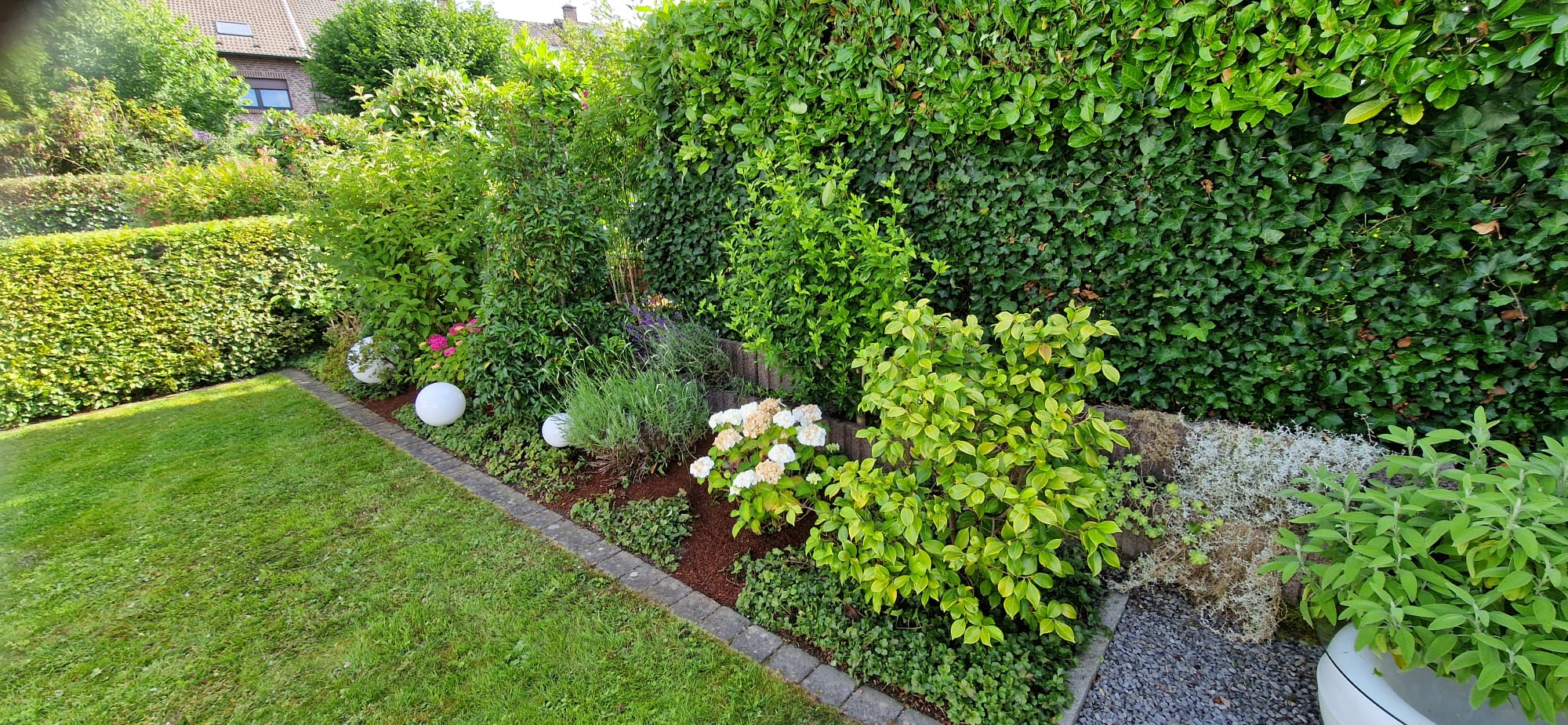 Beispielbild Gartenpflege 28