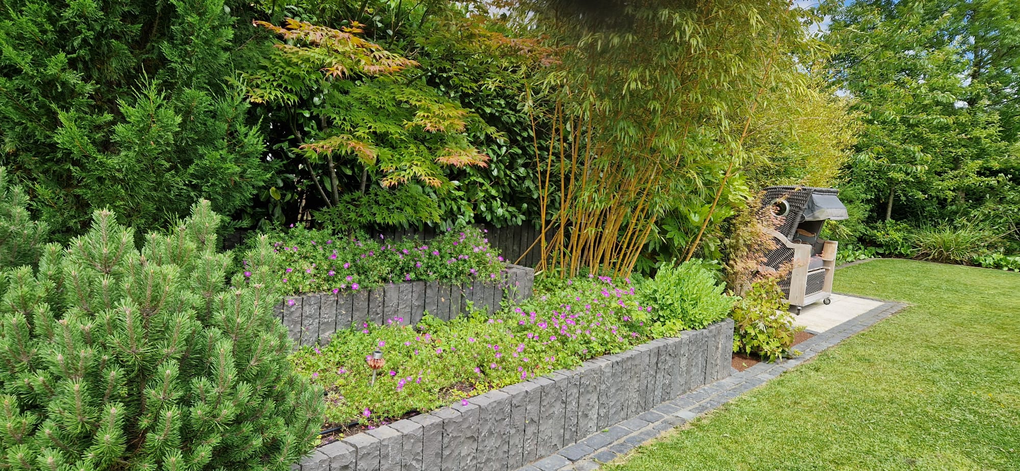 Beispielbild Gartenpflege 31