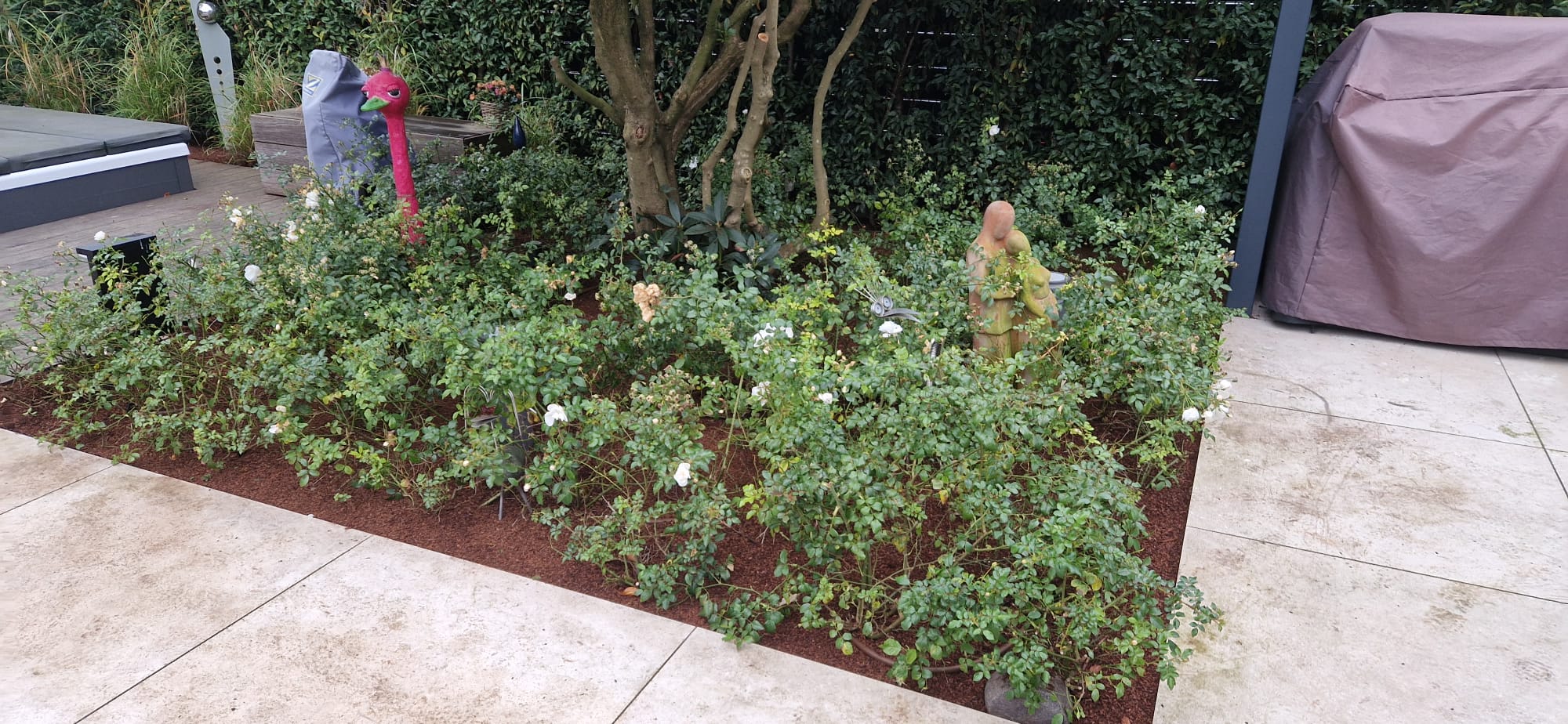 Beispielbild Gartenpflege 37