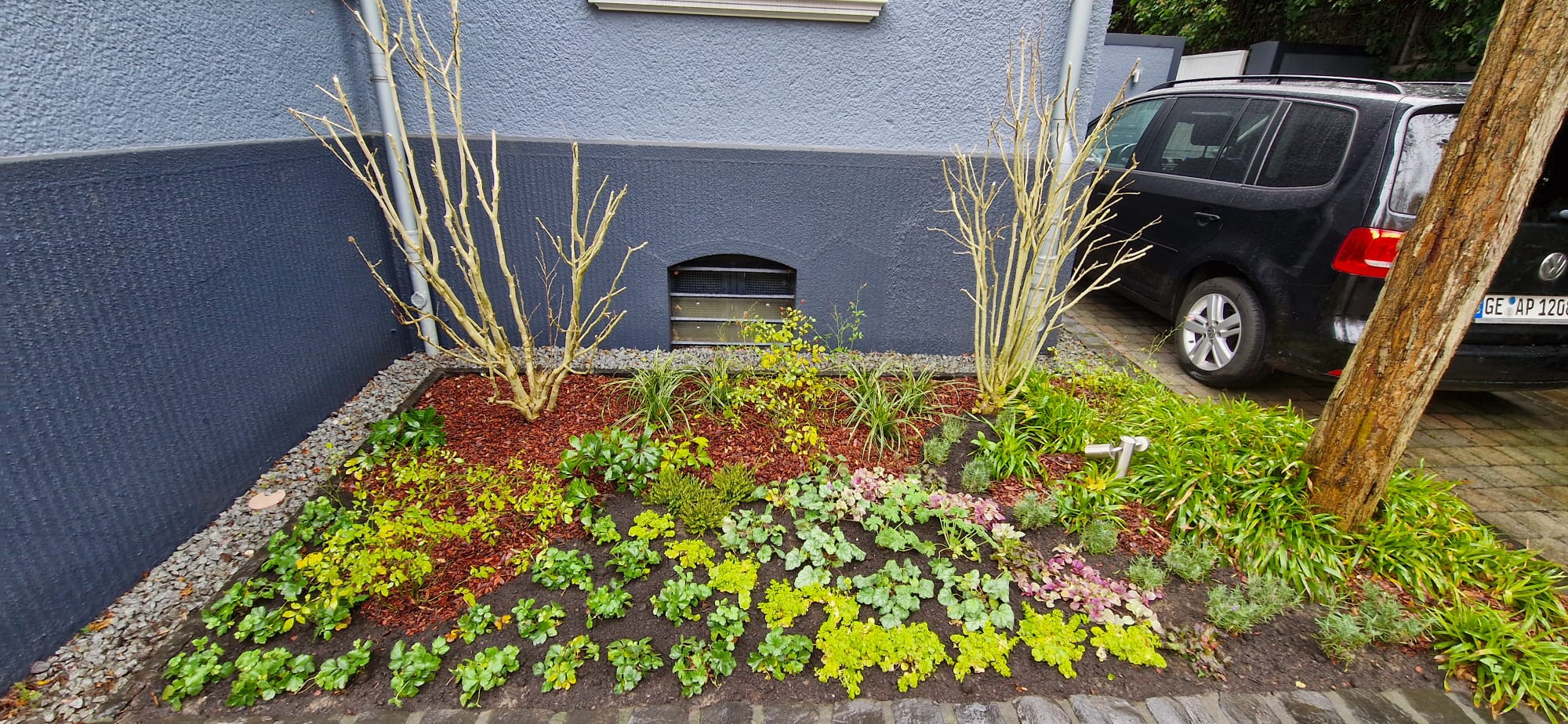 Beispielbild Gartenpflege 40