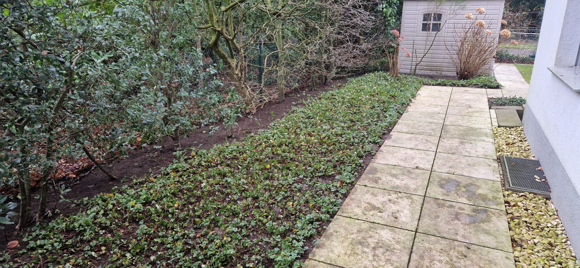 Beispielbild Gartenpflege 42