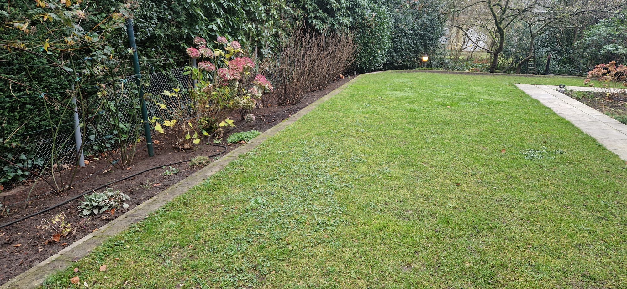 Beispielbild Gartenpflege 43