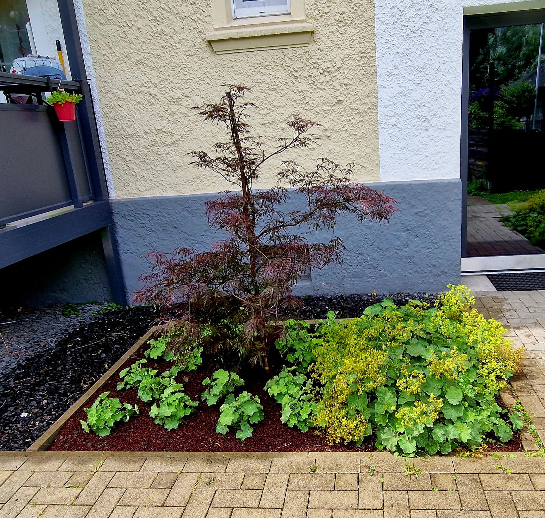 Beispielbild Gartenpflege 44