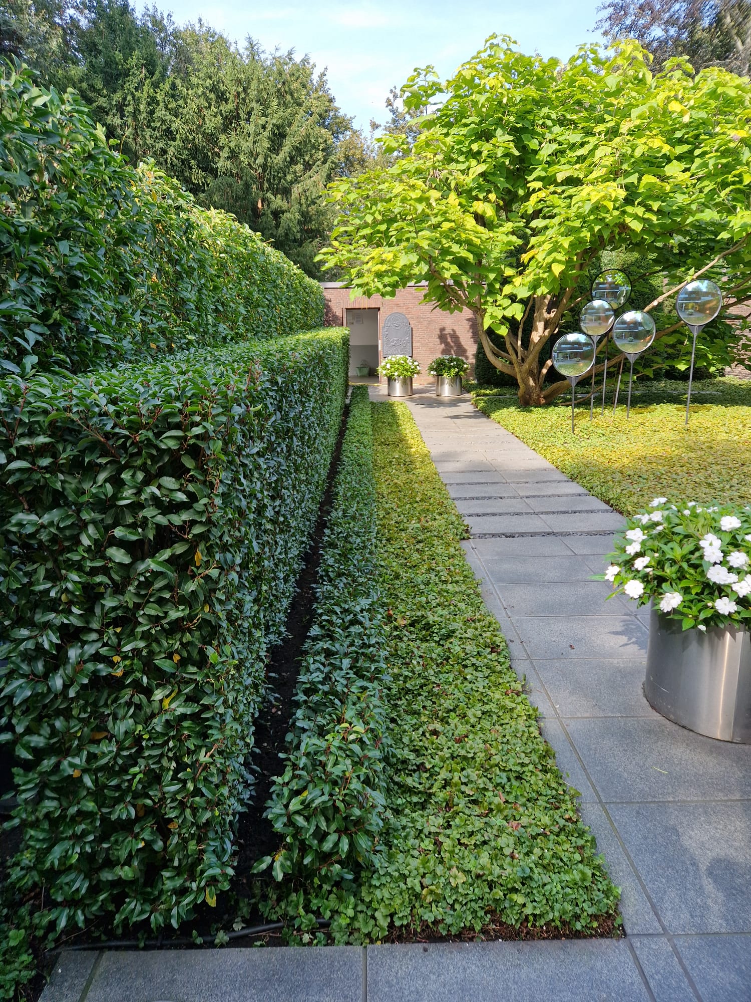 Beispielbild Gartenpflege 45