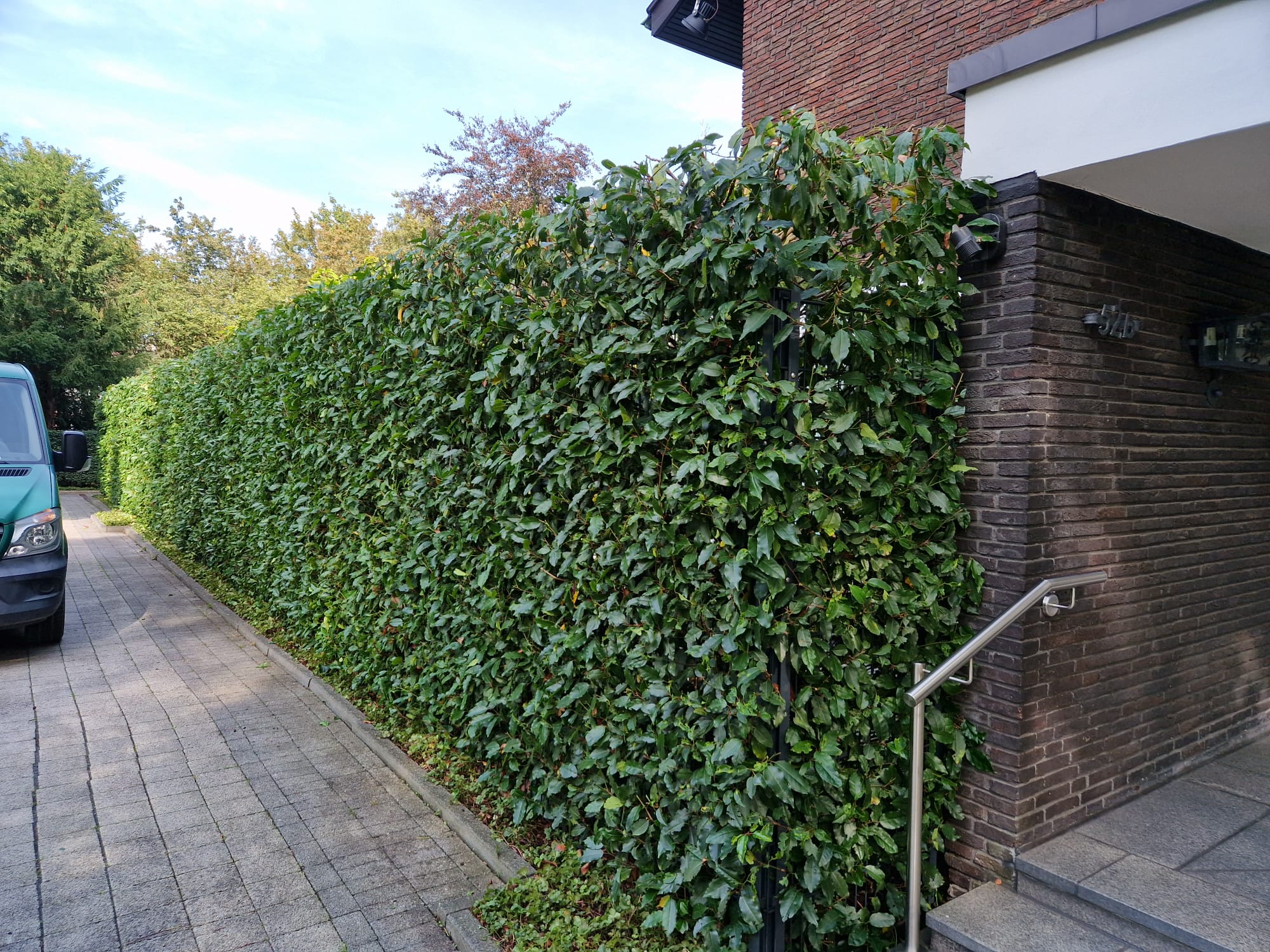 Beispielbild Gartenpflege 46