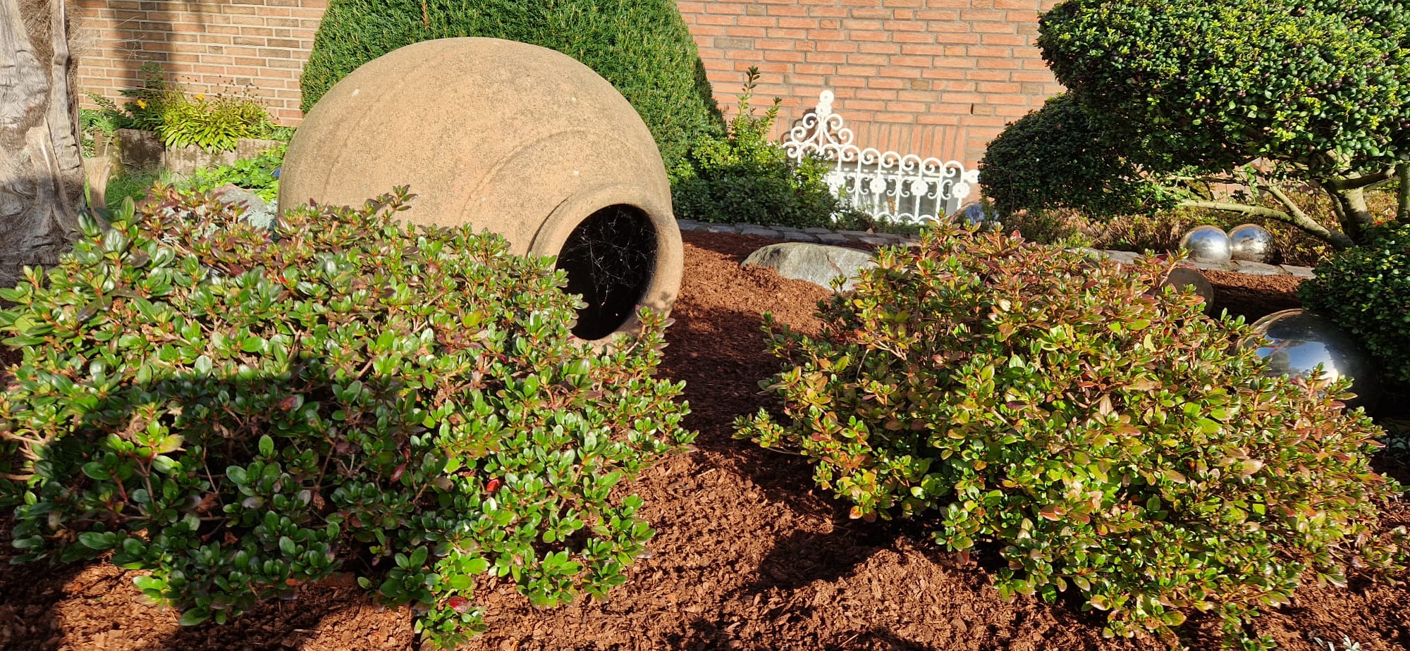 Beispielbild Gartenpflege 47