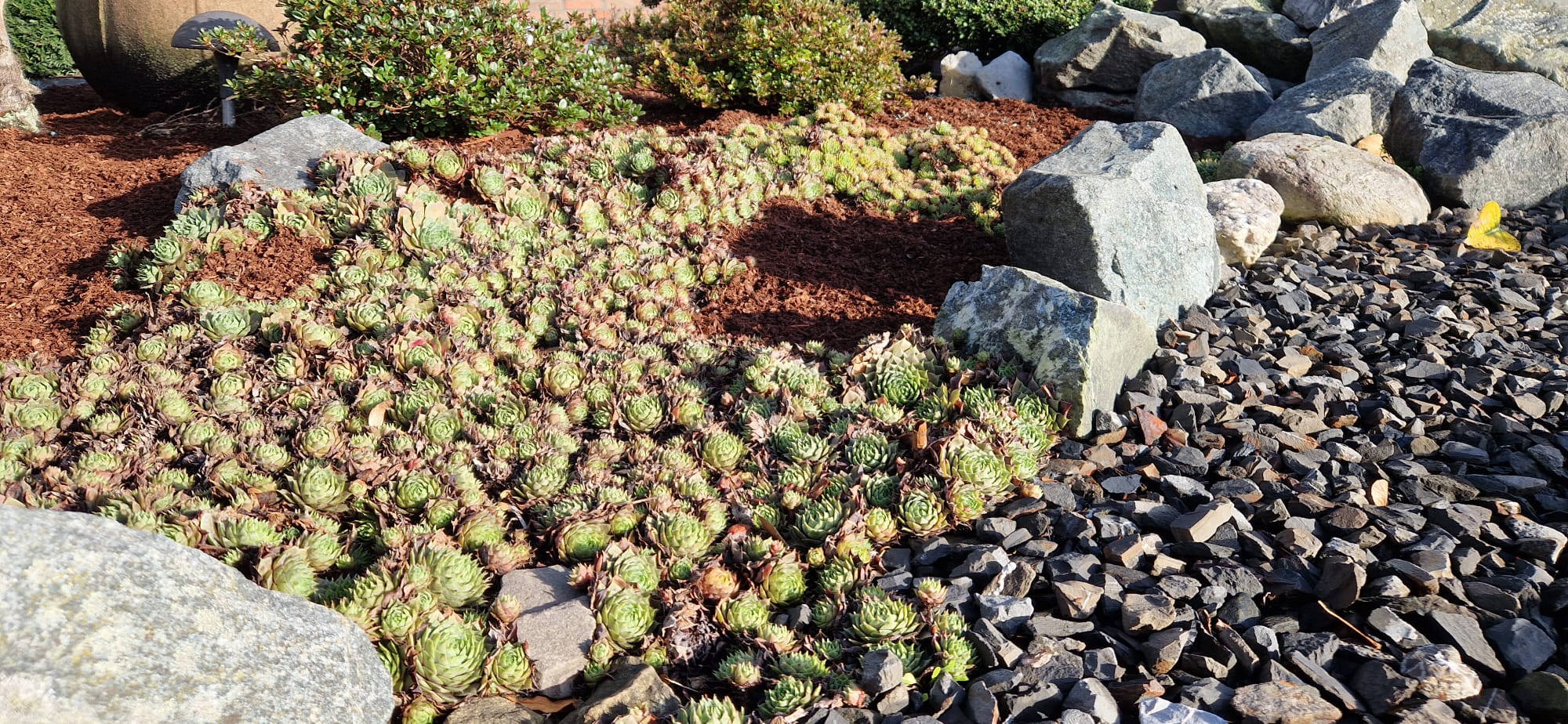 Beispielbild Gartenpflege 48