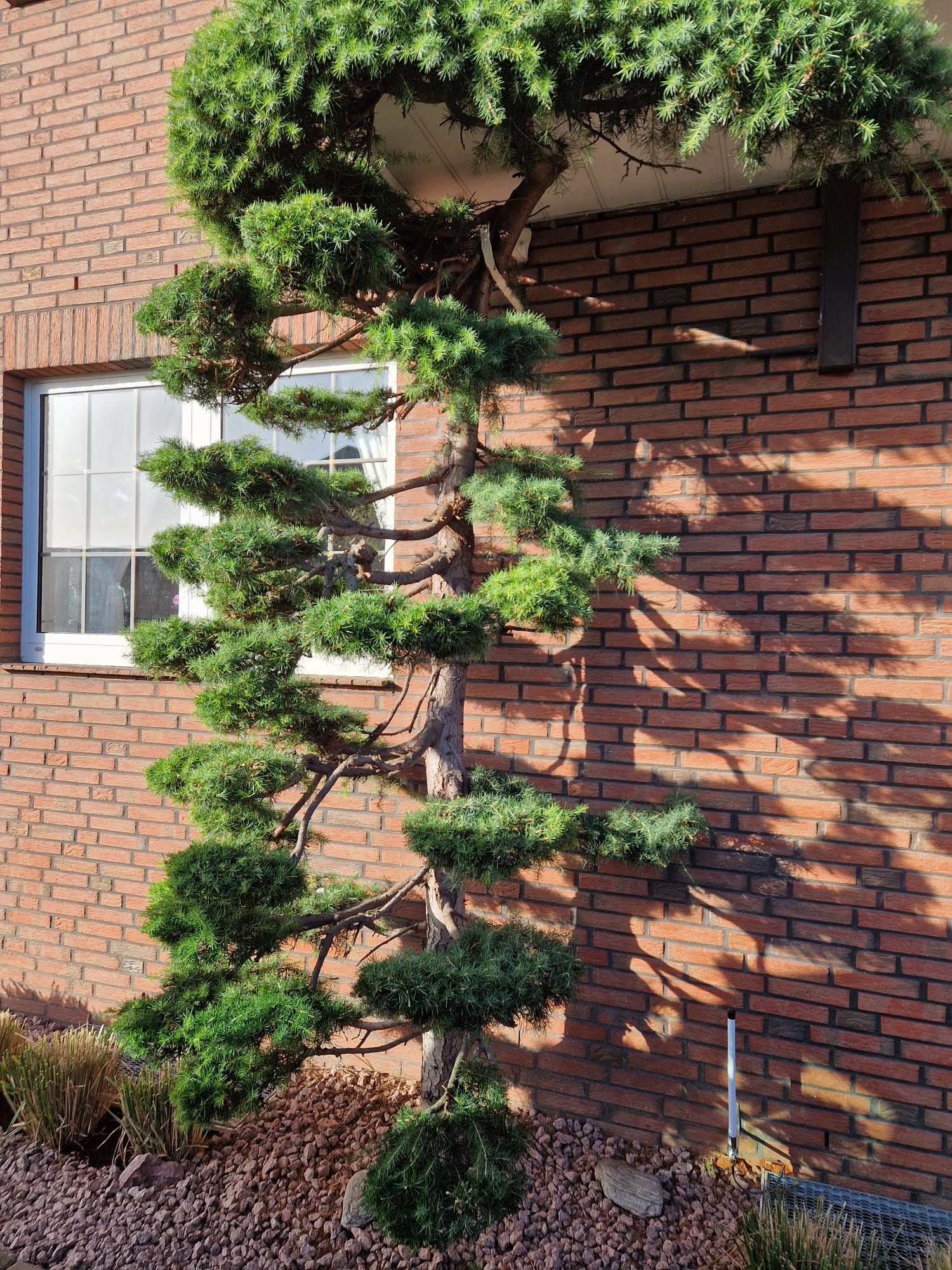 Beispielbild Gartenpflege 49