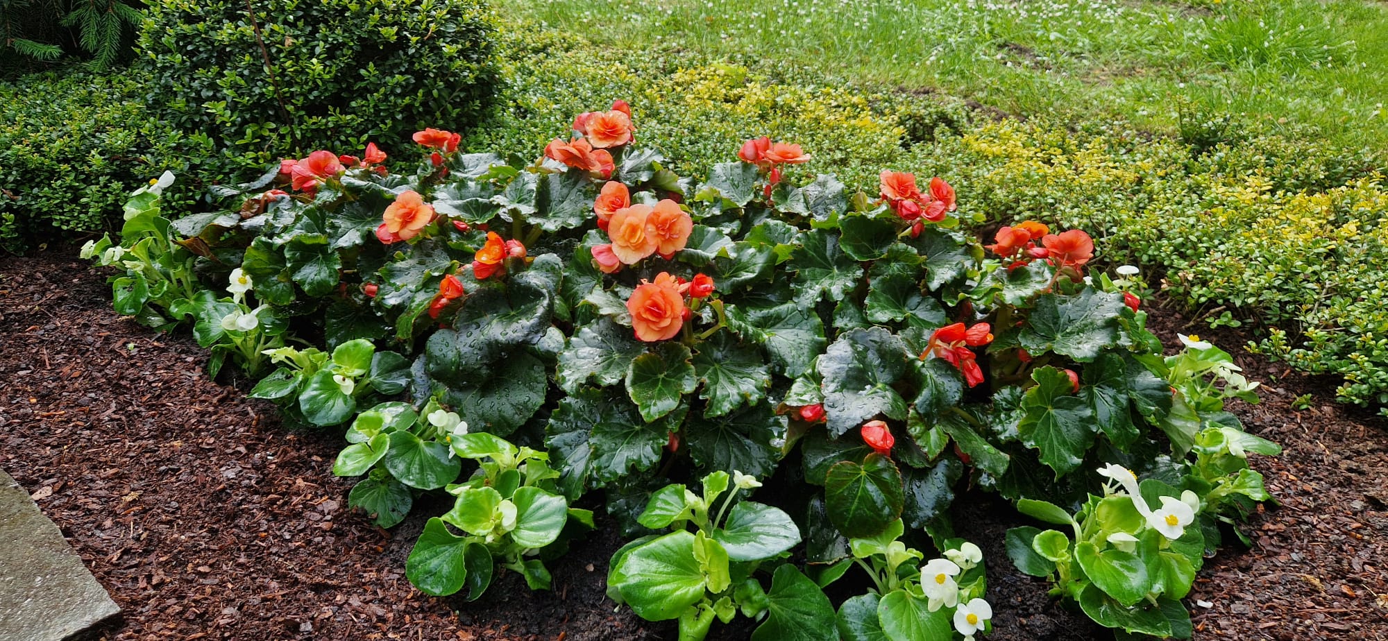 Beispielbild Grabpflege 3