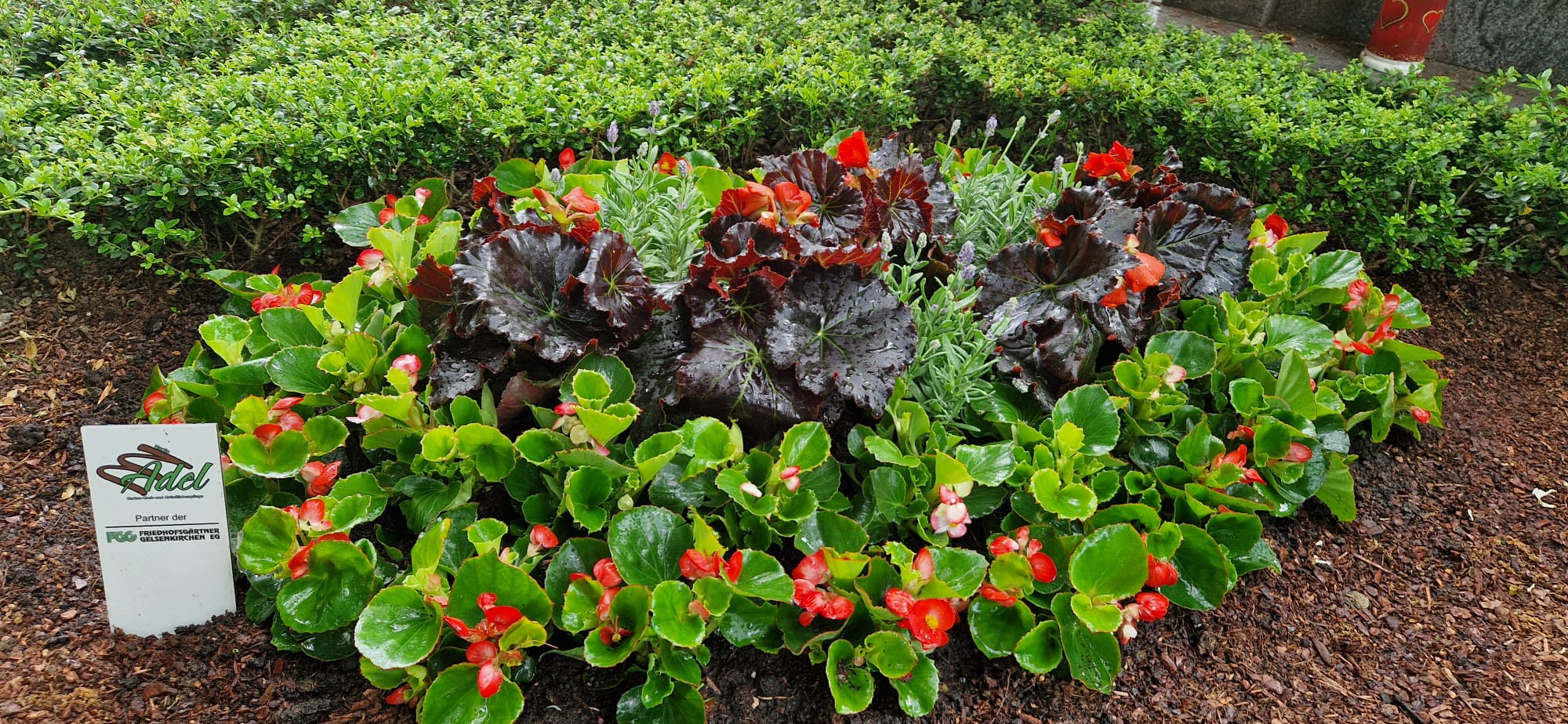 Beispielbild Grabpflege 5