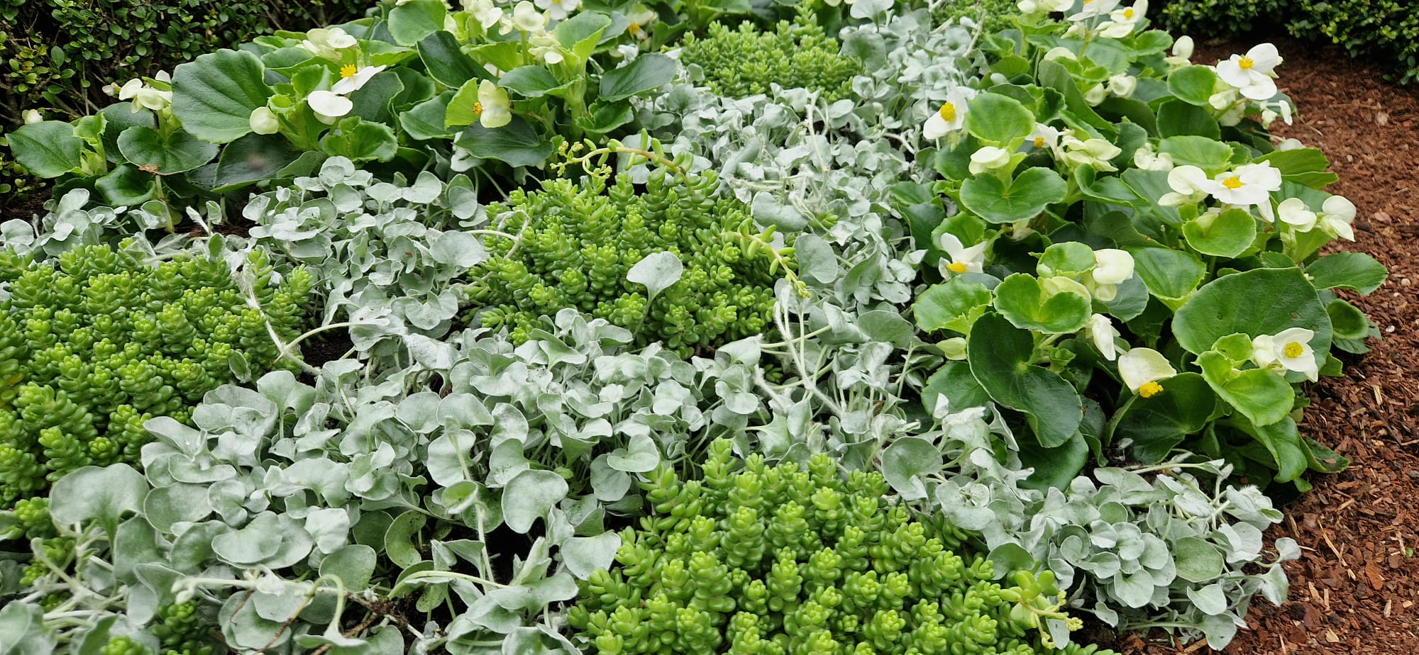 Beispielbild Grabpflege 6