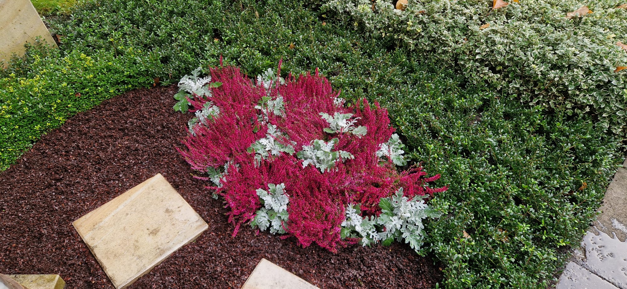 Beispielbild Grabpflege 9