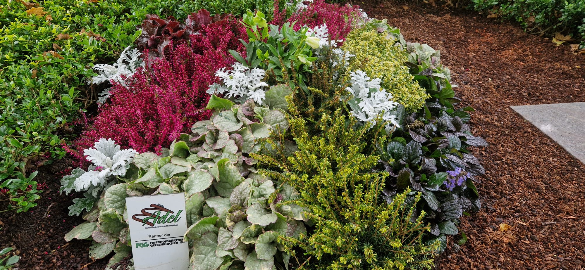 Beispielbild Grabpflege 12