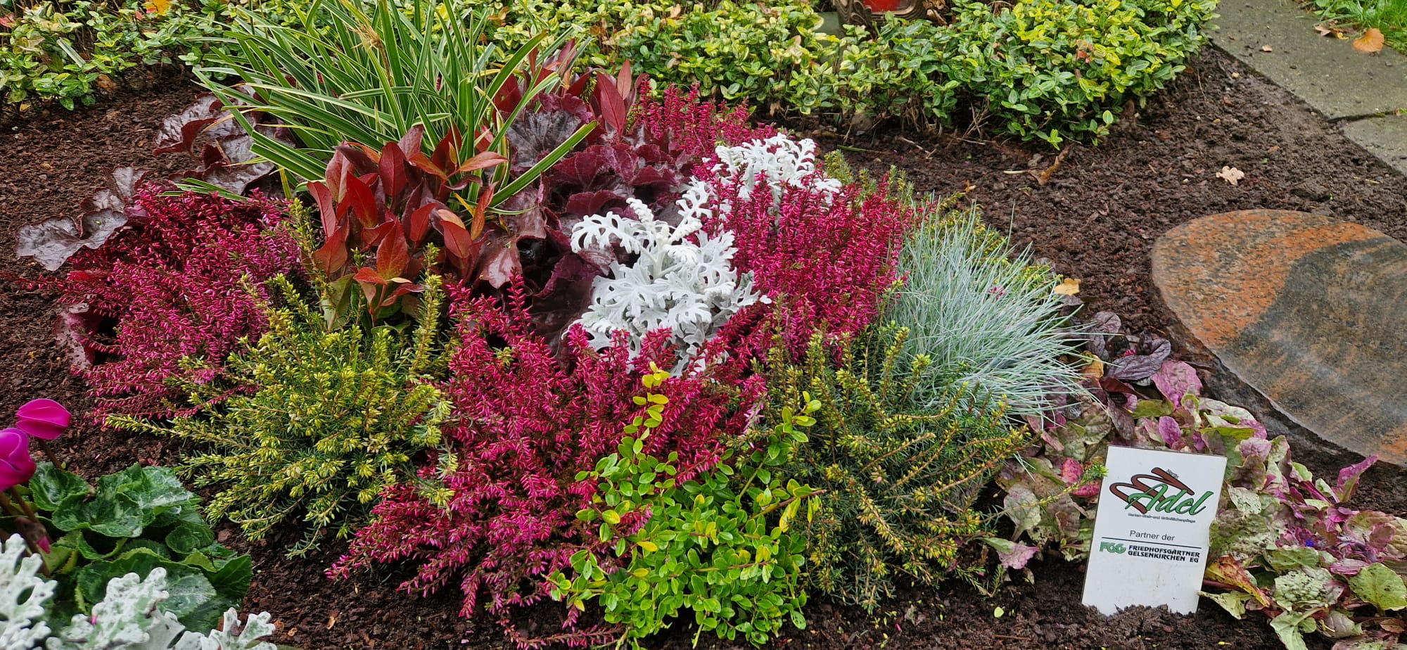 Beispielbild Grabpflege 13