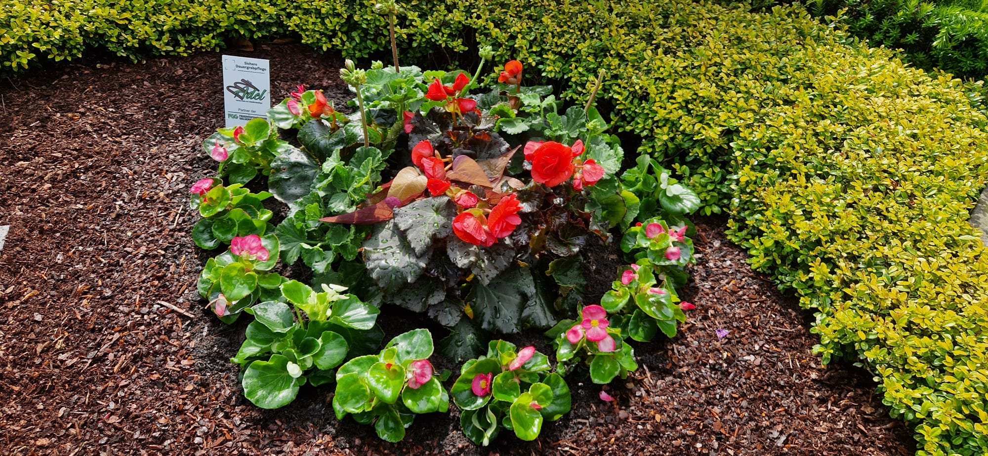 Beispielbild Grabpflege 14