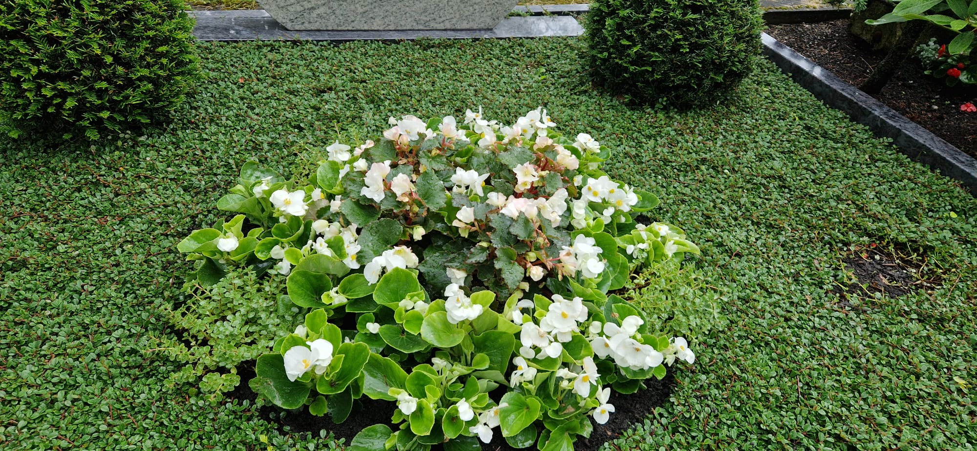 Beispielbild Grabpflege 16