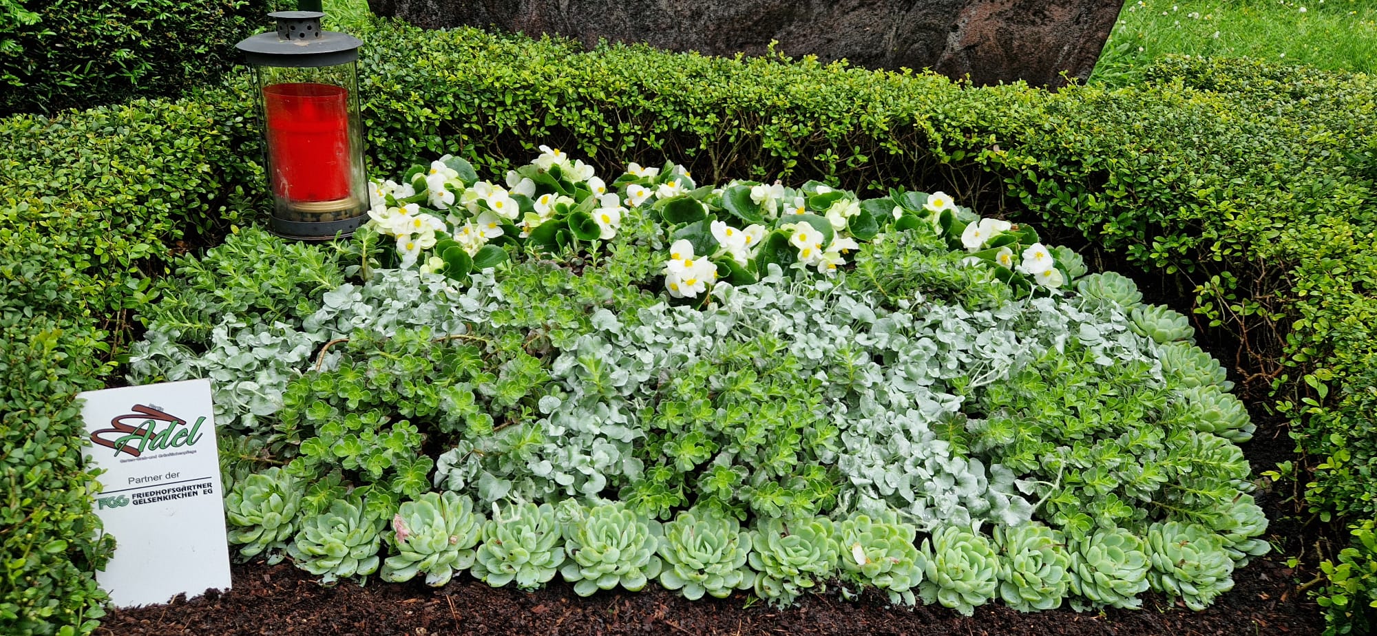 Beispielbild Grabpflege 17