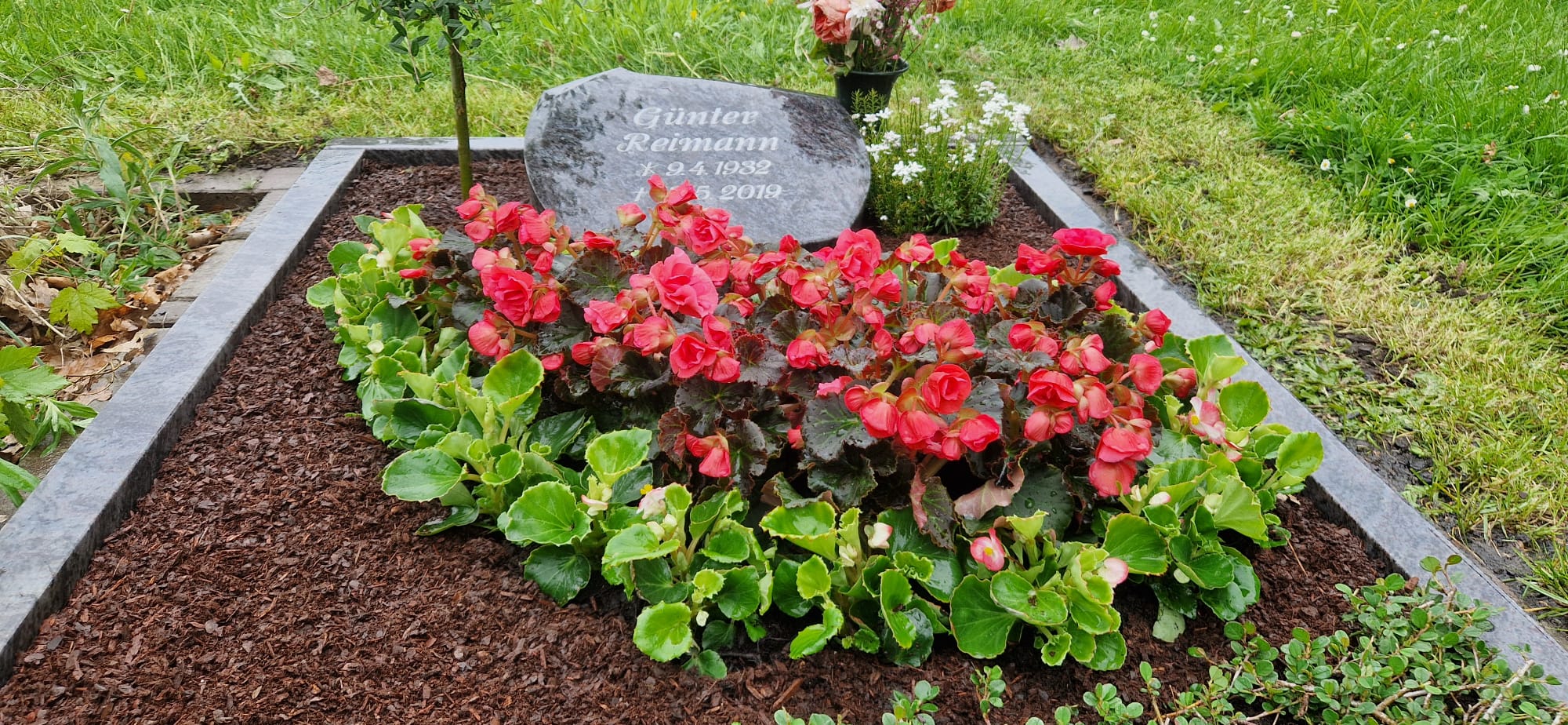 Beispielbild Grabpflege 19