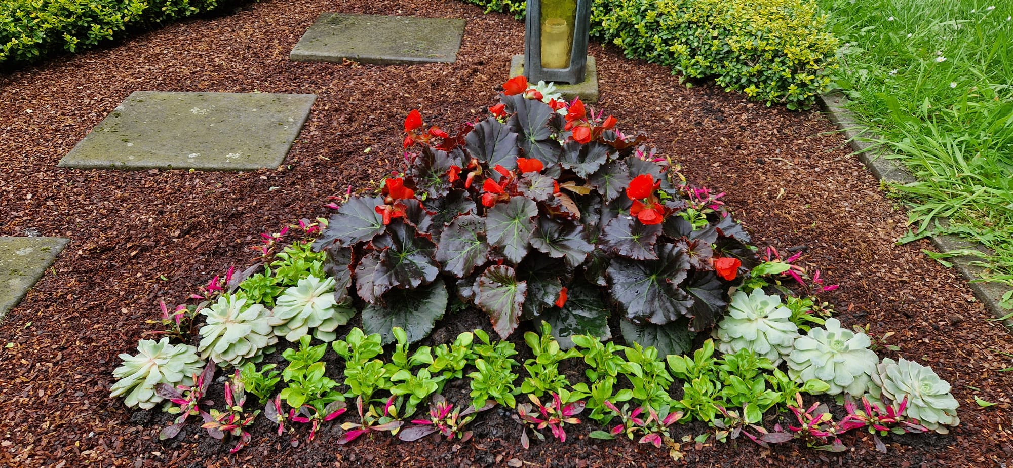 Beispielbild Grabpflege 20