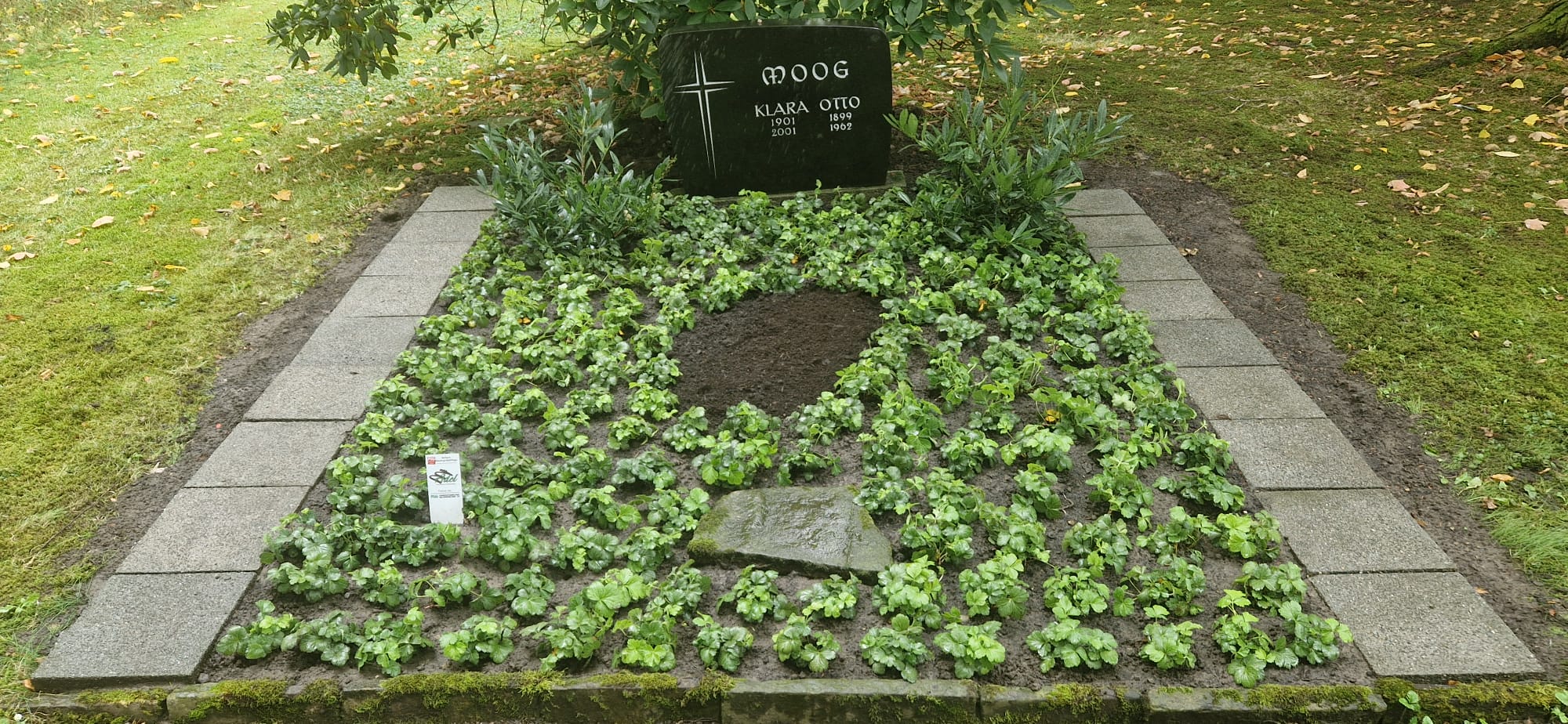 Beispielbild Grabpflege 49